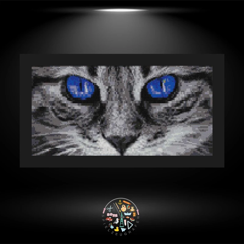 Cat with blue eyes - Quadratisch