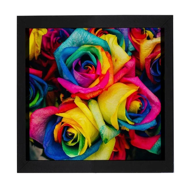 Regenbogenblumen - Quadratisch