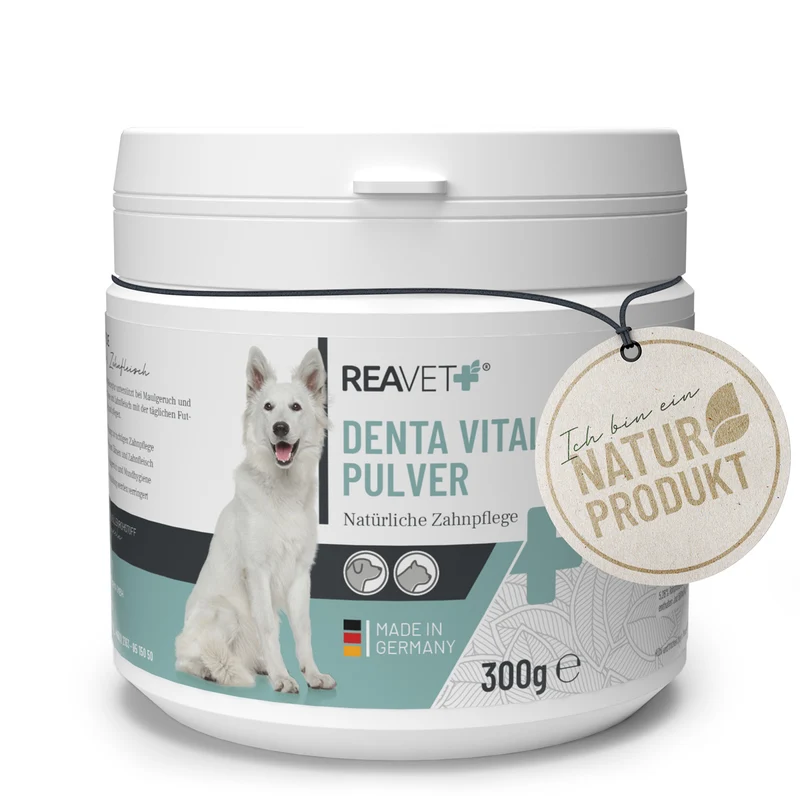 Denta Vital Pulver