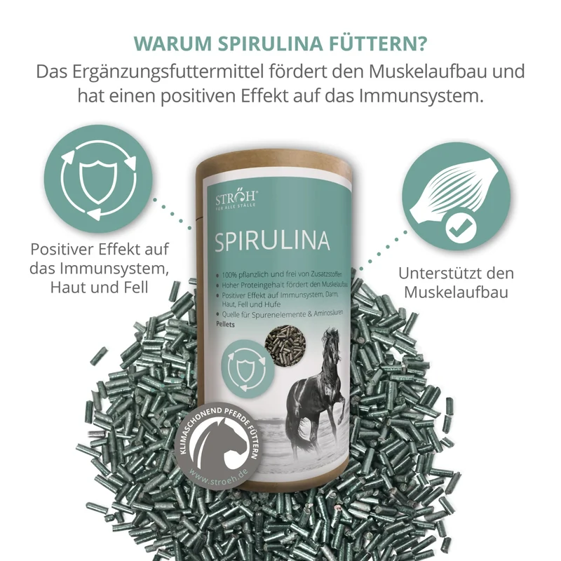 STRÖH Spirulina Pellets für Pferde 1,3kg Feedbox Dose