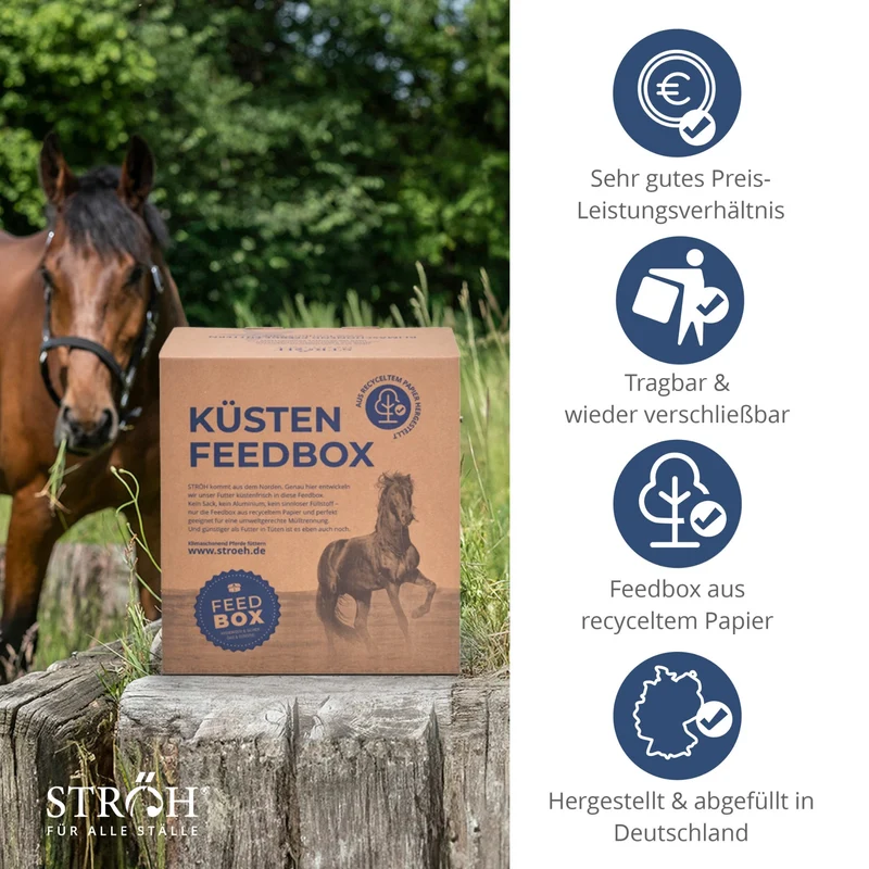 STRÖH Küsten Mineral getreidefrei für Pferde 6kg Feedbox XXS