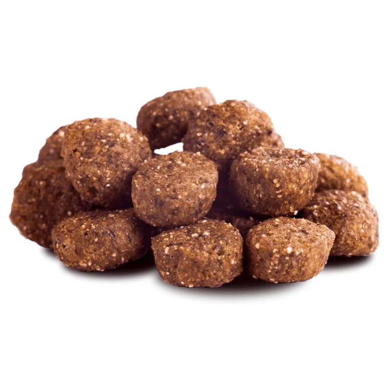 Minis - Lachs Adult - für kleinere Rassen