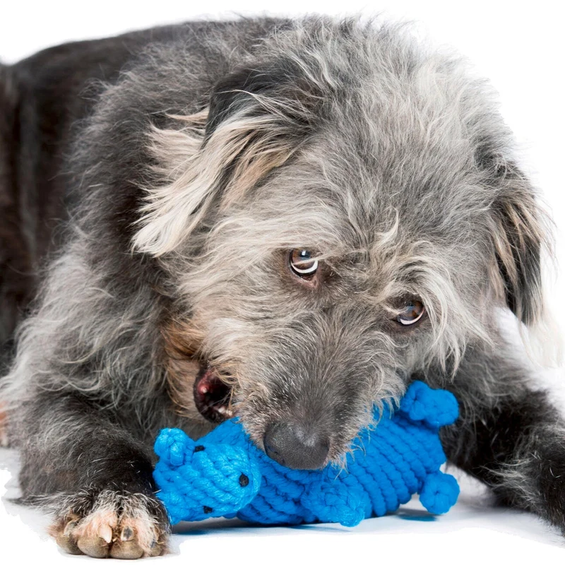 Hundespielzeug Kurt Känguru