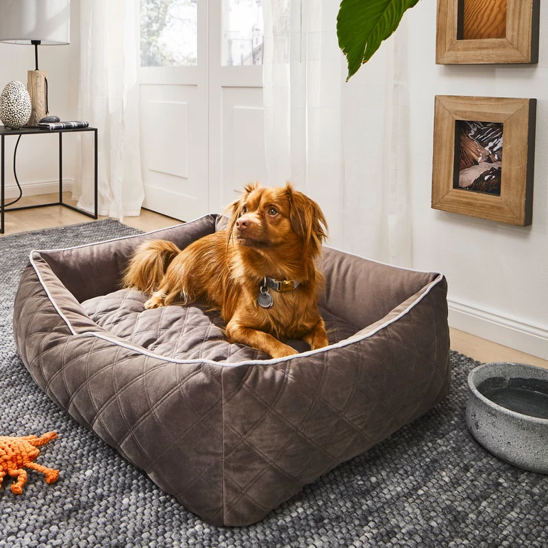 Hundebett Oxford Ortho oder Classic Stone