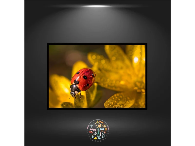 'Shining Ladybug' - Quadratisch
