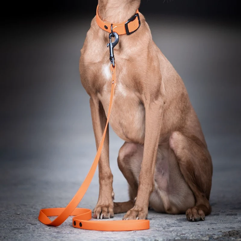 BioThane® City-Leine NEO Neon Orange
