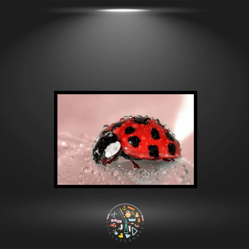 'Ladybug' - Strass / Rhinestone
