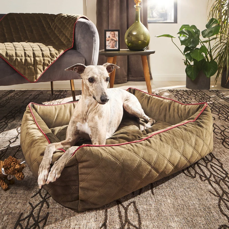 Hundebett Oxford Ortho oder Classic Olive
