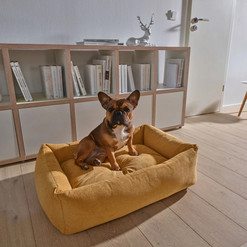 Hundebett Tudor Ortho oder Classic Gold