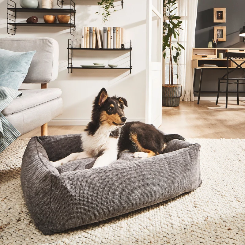 Hundebett Tudor Ortho oder Classic Anthrazit