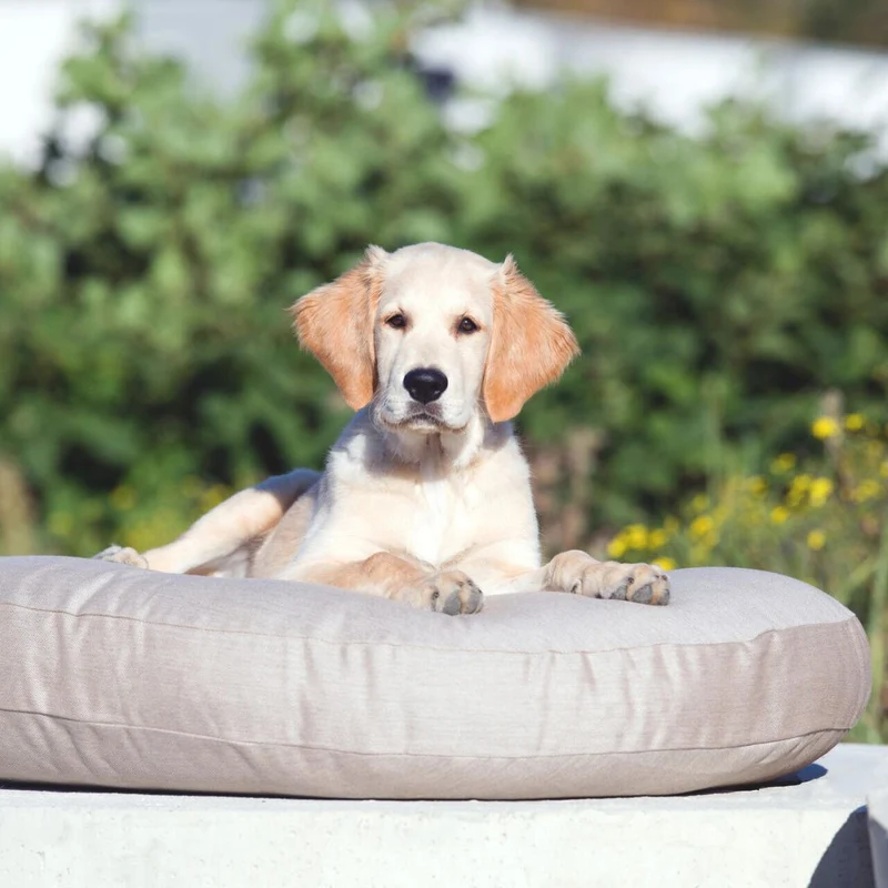 Outdoor Hundekissen Luna Lounge Smooth Lino