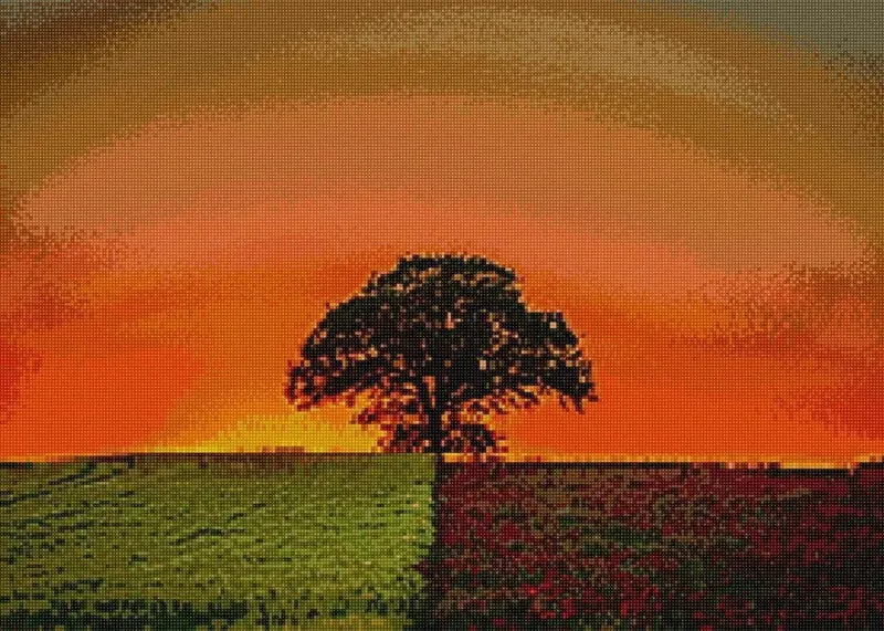 'Baum im Abendlicht' - Quadratisch (exklusiv)