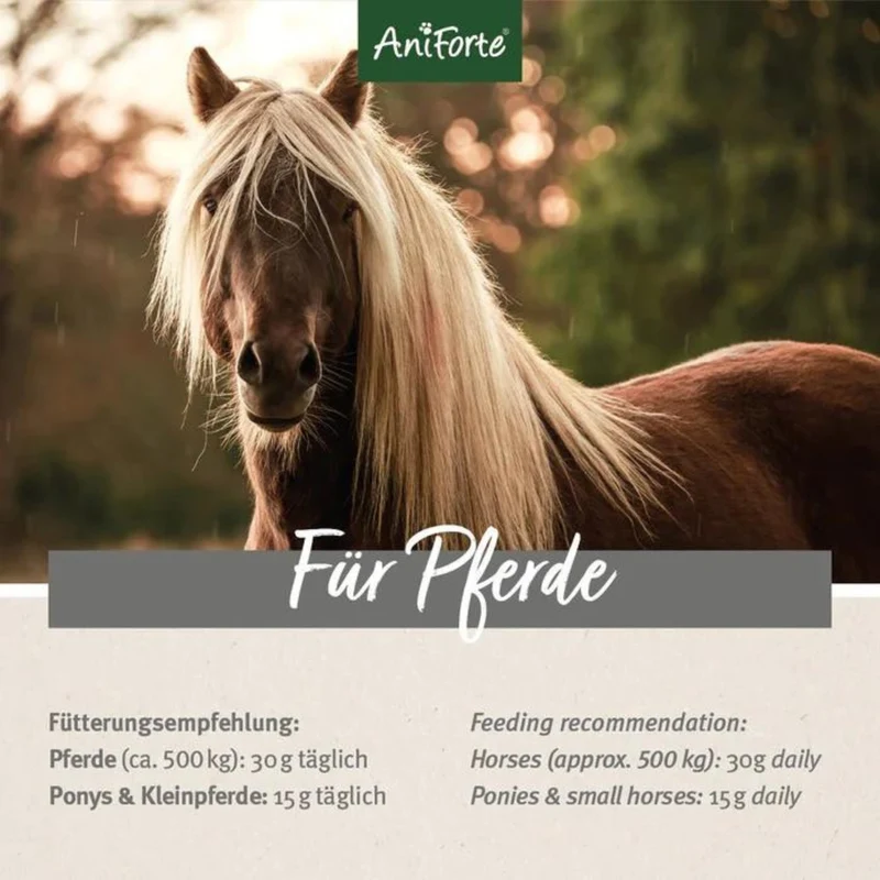 AniForte Flohsamenschalen 2,5kg
