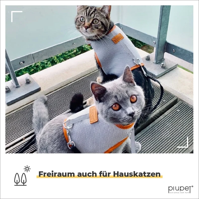 Katzengeschirr "FRITZ"