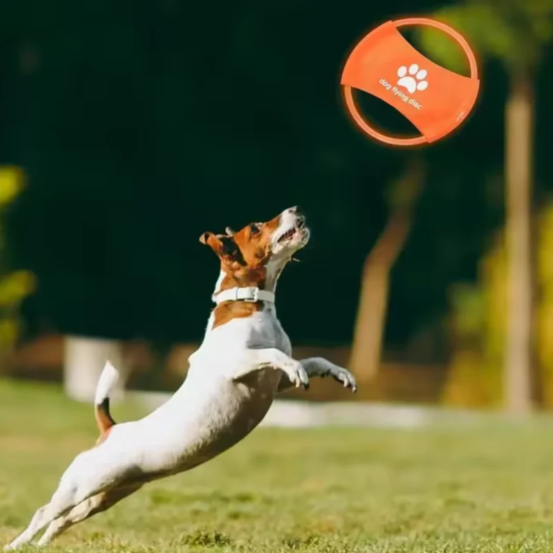 LED Frisbee für Hunde wiederaufladbar und wasserdicht