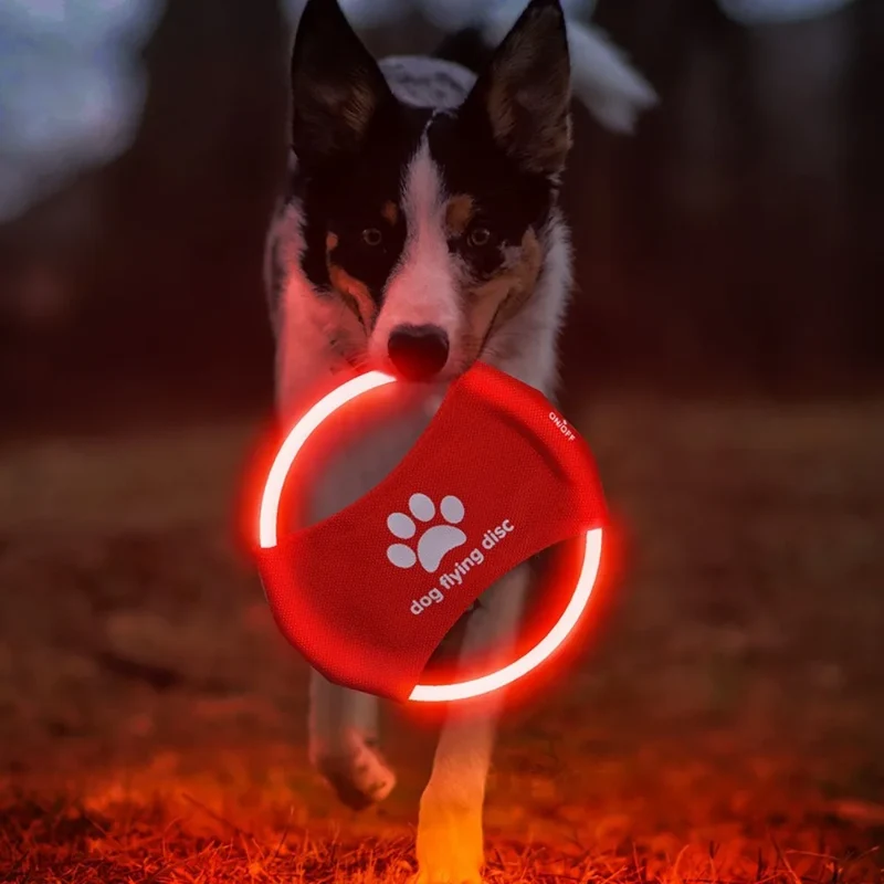 LED Frisbee für Hunde wiederaufladbar und wasserdicht
