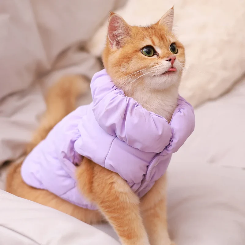 Winterjacke für Hunde und Katzen gefüttert und warm