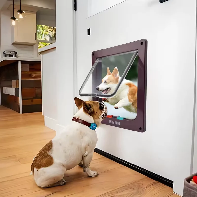 4 Wege Haustierklappe für Katzen und Hunde