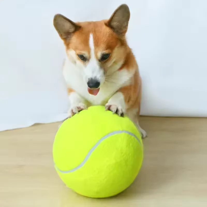Extra großer Tennisball für Hunde