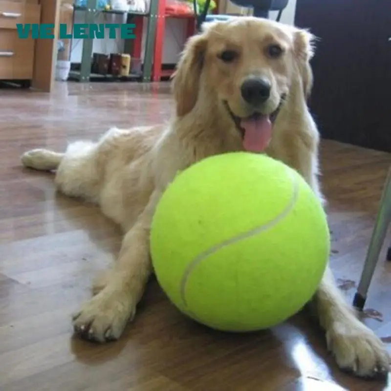 Extra großer Tennisball für Hunde
