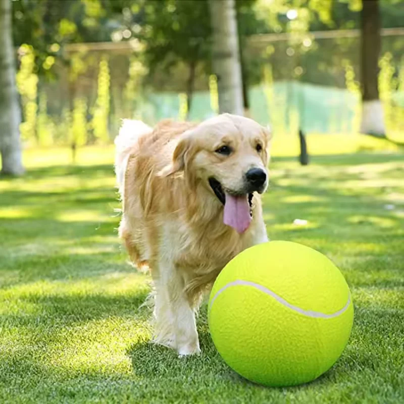 Extra großer Tennisball für Hunde