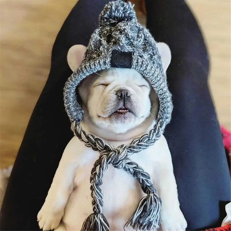 Wintermütze für Hunde und Katzen warm und winddicht