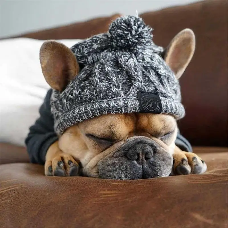 Wintermütze für Hunde und Katzen warm und winddicht