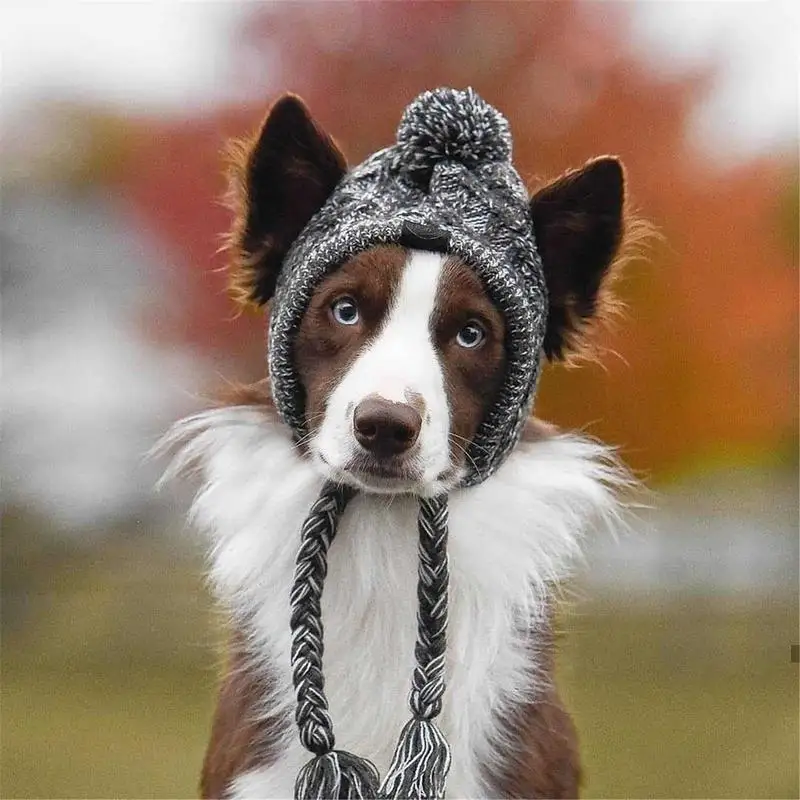Wintermütze für Hunde und Katzen warm und winddicht