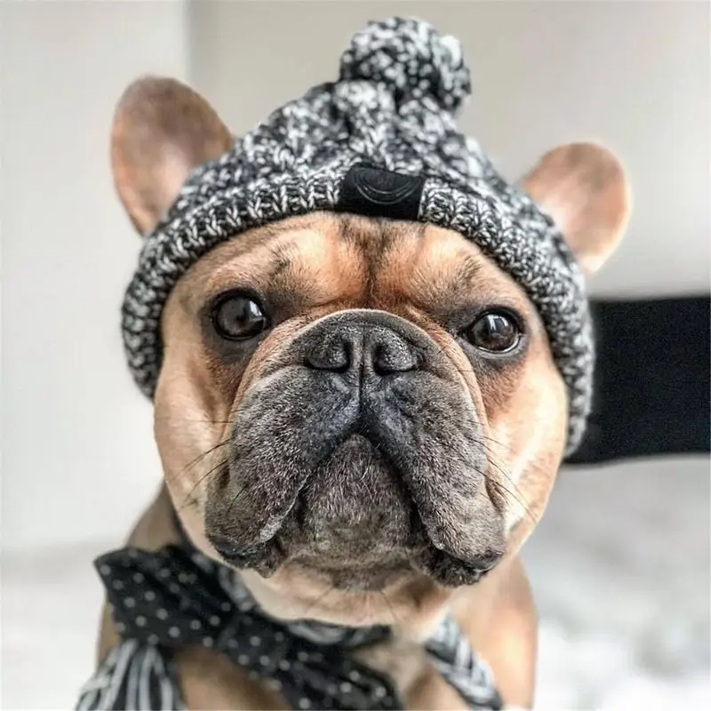Wintermütze für Hunde und Katzen warm und winddicht