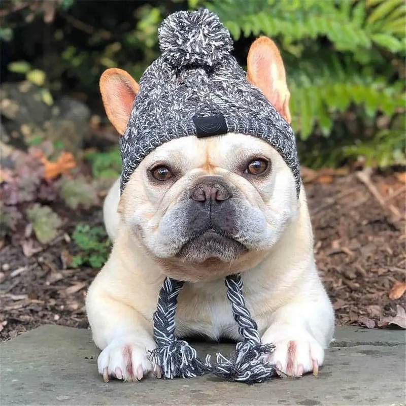 Wintermütze für Hunde und Katzen warm und winddicht