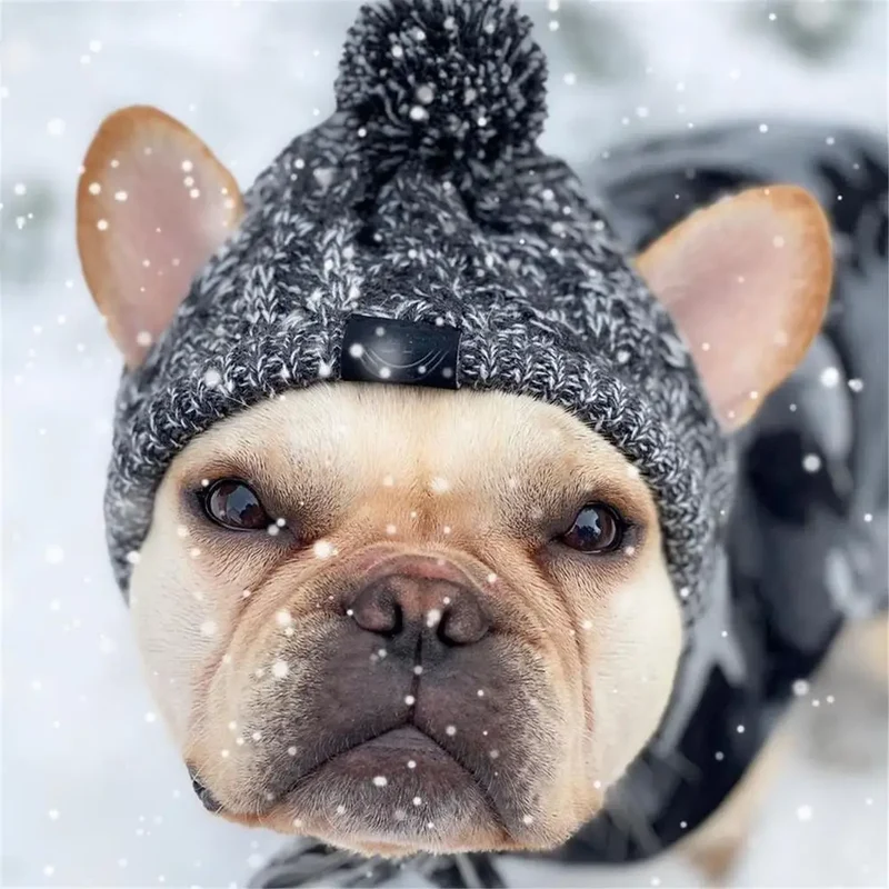 Wintermütze für Hunde und Katzen warm und winddicht