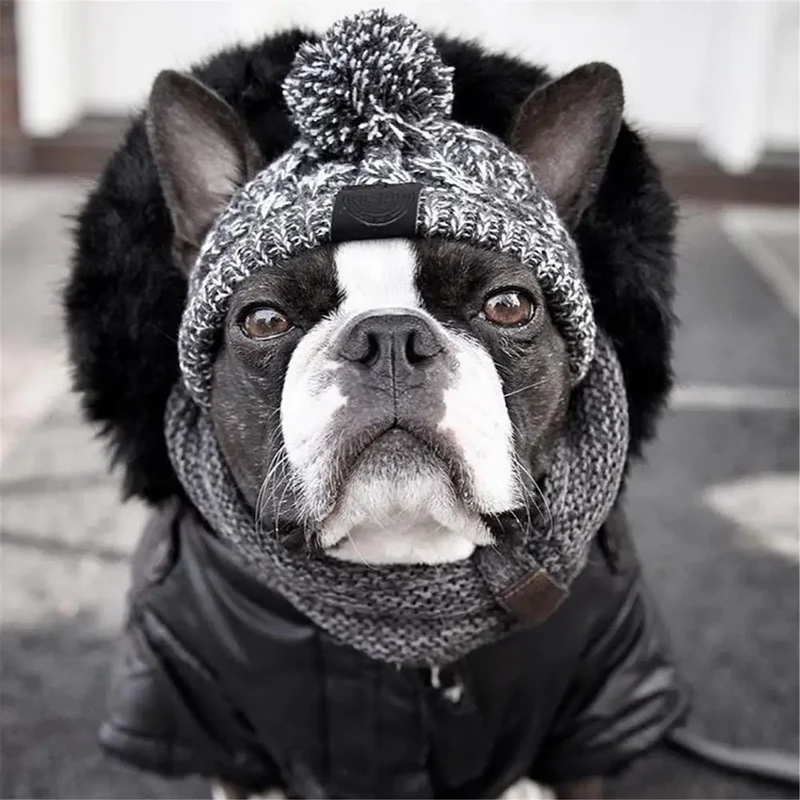 Wintermütze für Hunde und Katzen warm und winddicht