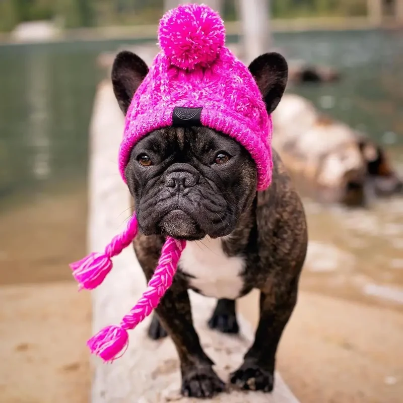 Wintermütze für Hunde und Katzen warm und winddicht