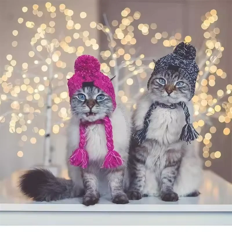Wintermütze für Hunde und Katzen warm und winddicht