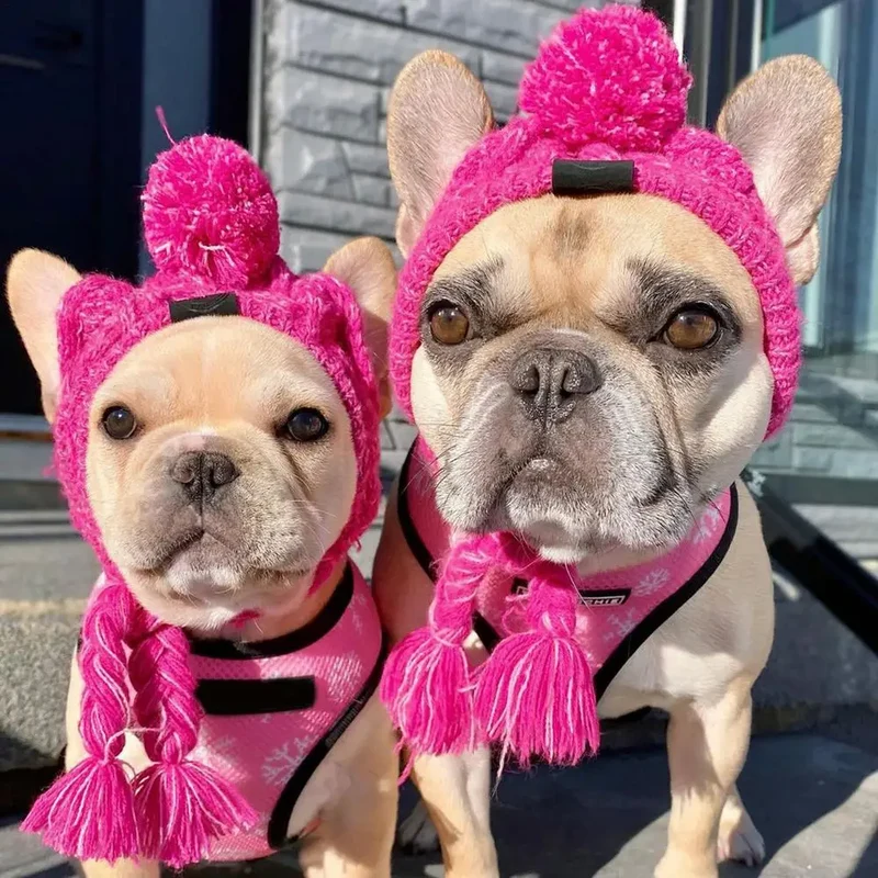 Wintermütze für Hunde und Katzen warm und winddicht