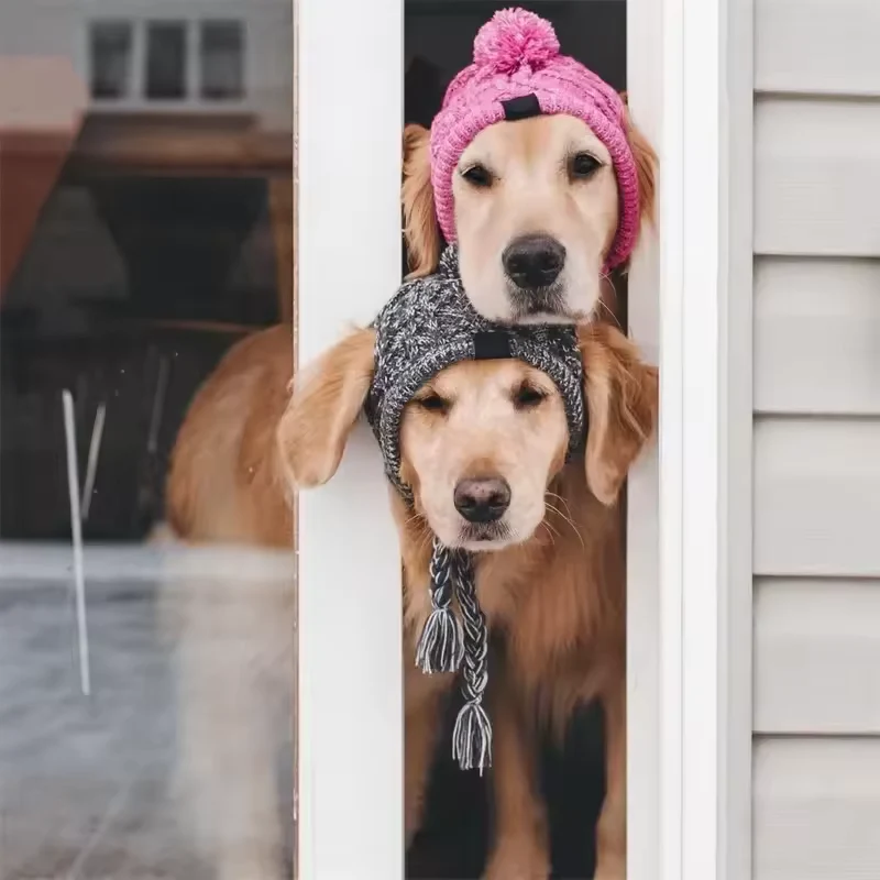 Wintermütze für Hunde und Katzen warm und winddicht