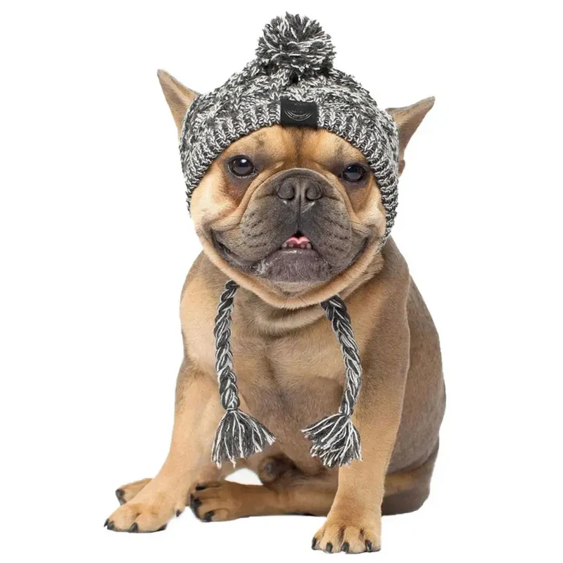 Wintermütze für Hunde und Katzen warm und winddicht