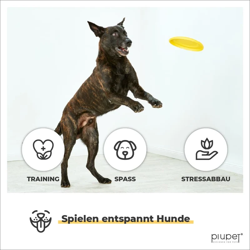 Frisbee-Set "RICKI"