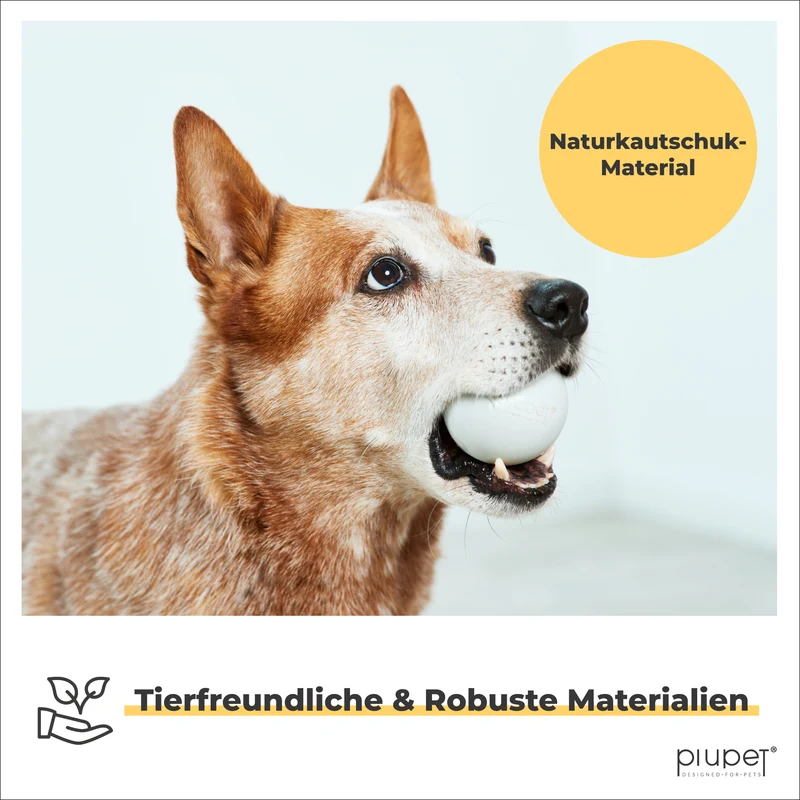 Hundeball-Set "LOKI"