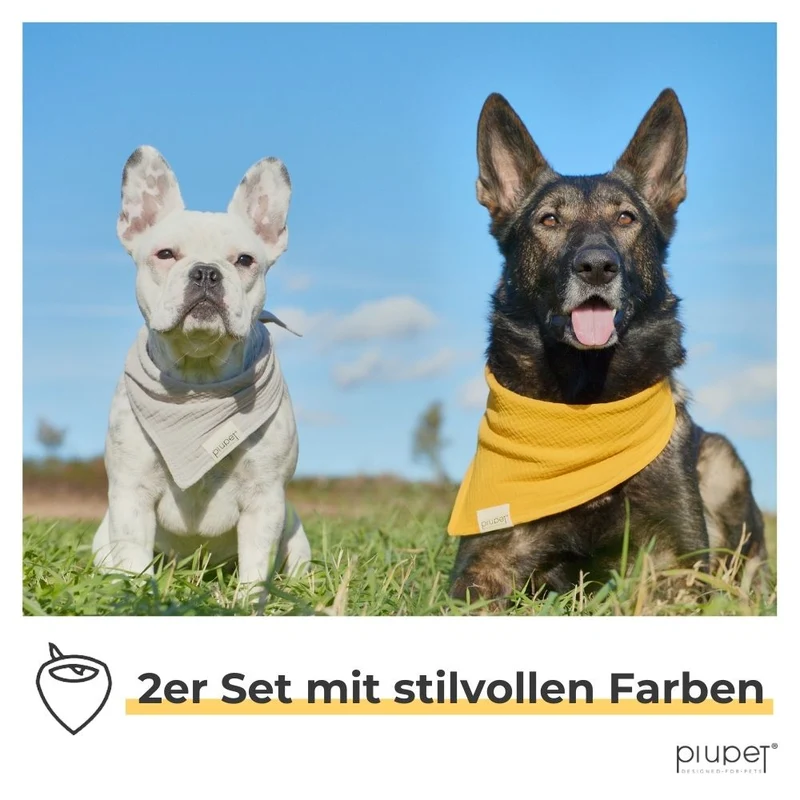 Hundehalstuch-Set "BRUNO"