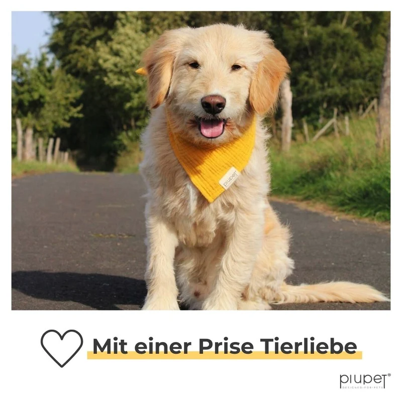 Hundehalstuch-Set "BRUNO"