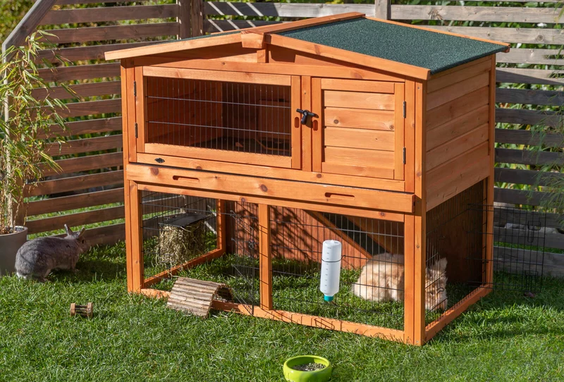 Kleintierstall mit Freilaufgehege
