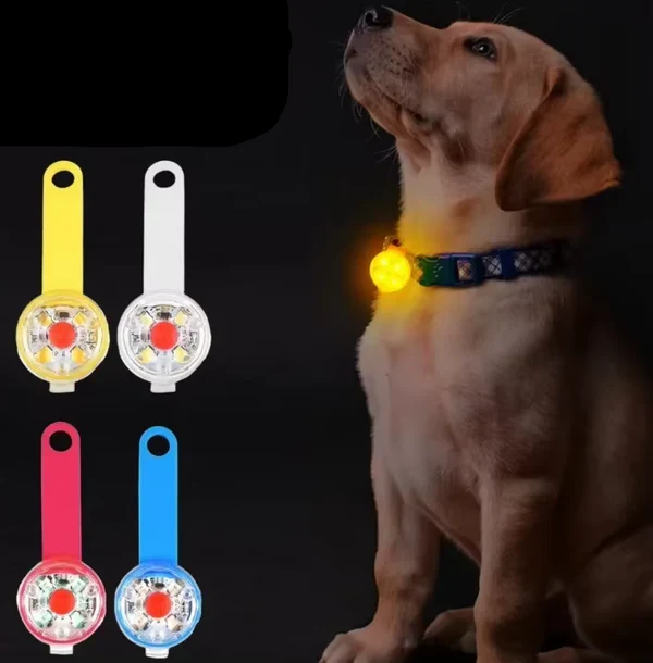 Wiederaufladbarer LED Sicherheitsanhänger für Haustiere