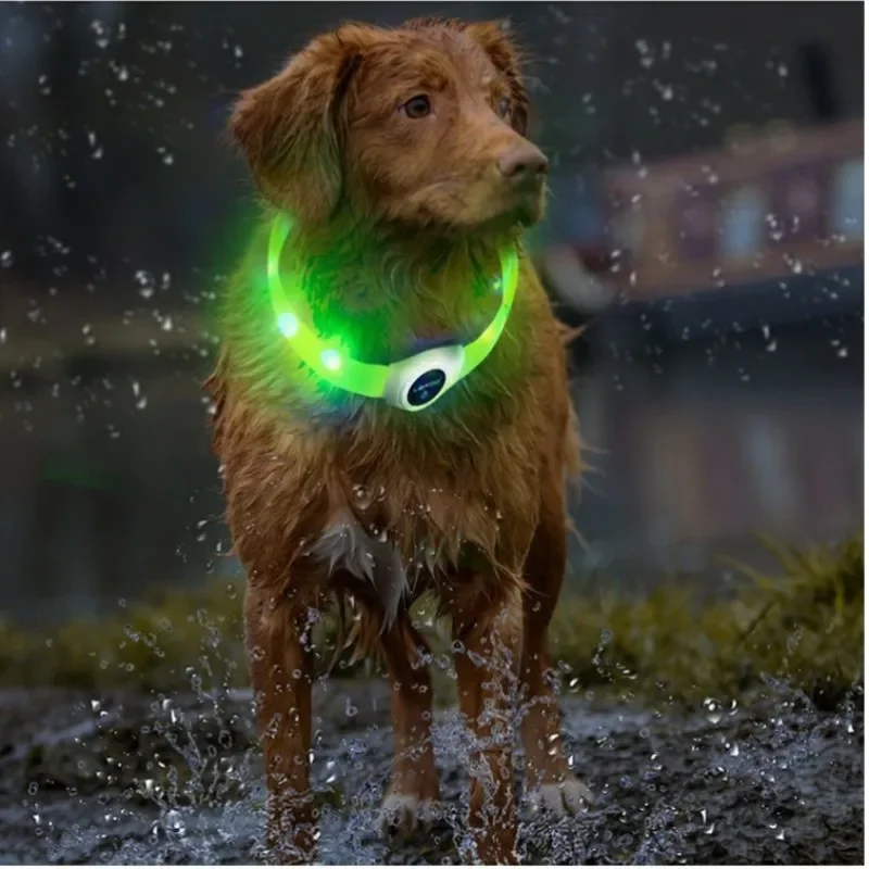 USB LED Hundehalsband zuschneidbar & wetterfest