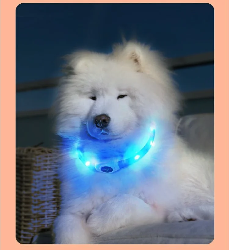 USB LED Hundehalsband zuschneidbar & wetterfest