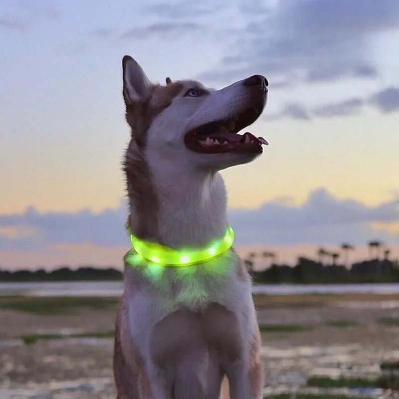 USB LED Hundehalsband zuschneidbar & wetterfest