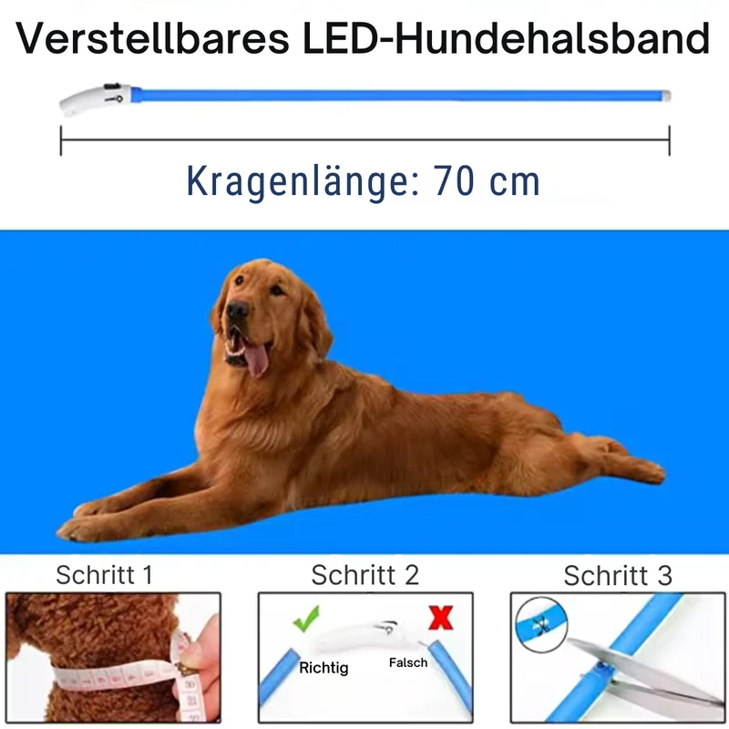 USB LED Hundehalsband zuschneidbar & wetterfest