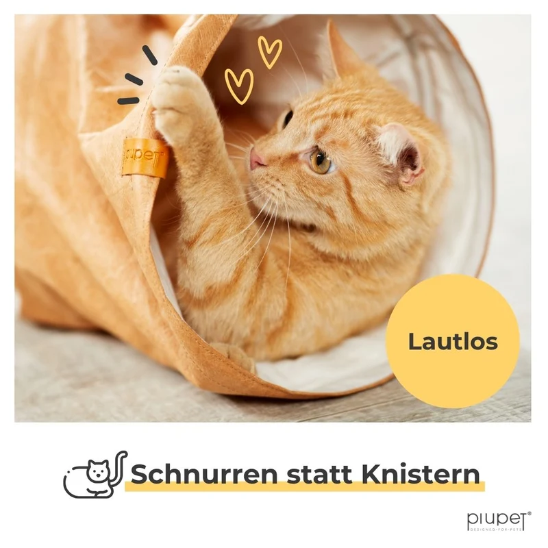 Katzentunnel "LILI"