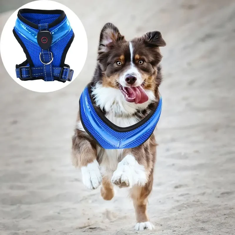 LED Hundegeschirr USB aufladbar & verstellbar