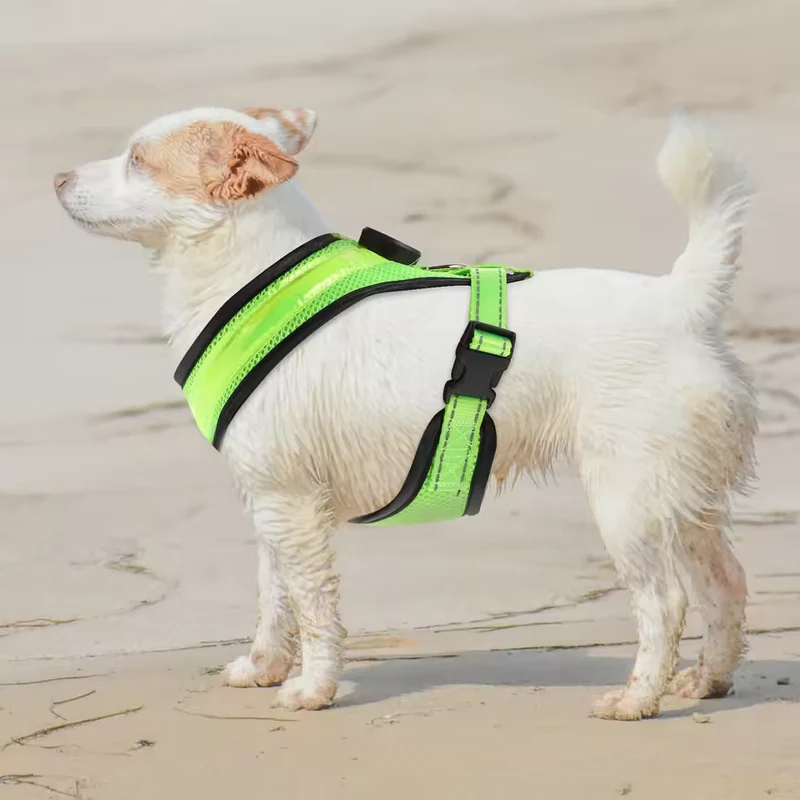 LED Hundegeschirr USB aufladbar & verstellbar